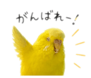 839860536