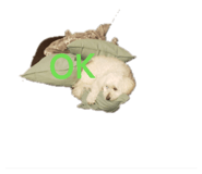 839860553