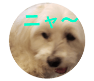 839860560