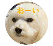 839860568