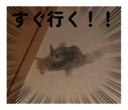 839861081