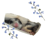 839861087