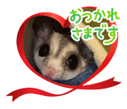 839861114