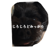 839861224