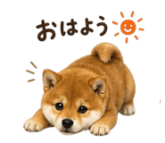 839862009