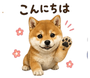 839862010