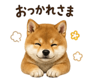 839862012