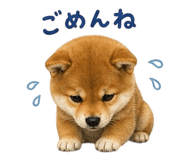 839862014