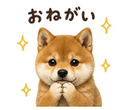 839862015