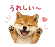 839862017