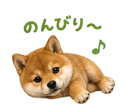 839862021