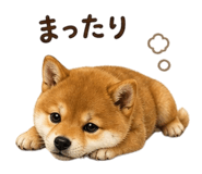 839862022