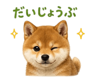 839862023