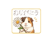 839862129