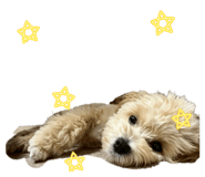 839862542