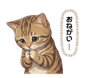 839862702