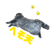 839863324