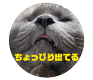 839863327
