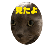 839863330