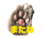 839863342