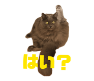 839863344