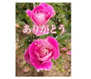 839863362