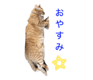 839863513
