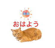 839863516