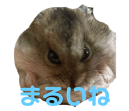 839864572