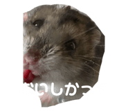 839864573