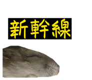 839864577