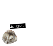 839864587