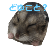 839864589