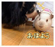 839870150