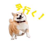 839870268