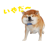 839870270