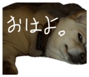 839870417