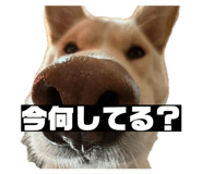 839870422