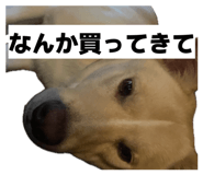 839870428