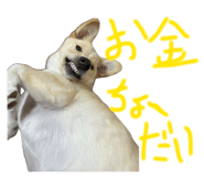 839870432