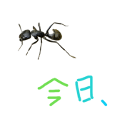 839870660