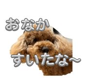 839870782