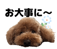 839870790