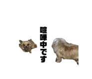 839870814