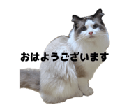 839870939