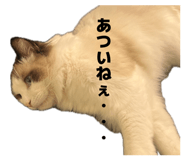 839870952