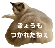 839870957