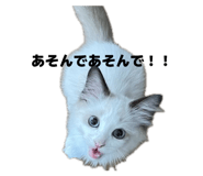 839870958