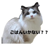 839870967