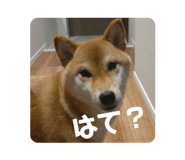 839871649